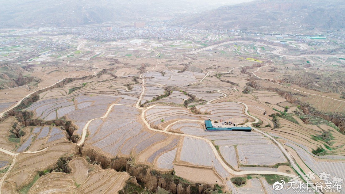 广西小伙用地图标记25个祖宗墓地